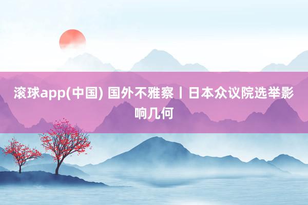 滚球app(中国) 国外不雅察丨日本众议院选举影响几何