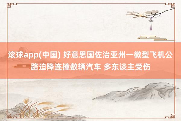 滚球app(中国) 好意思国佐治亚州一微型飞机公路迫降连撞数辆汽车 多东谈主受伤