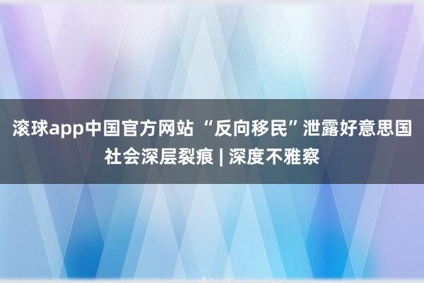 滚球app中国官方网站 “反向移民”泄露好意思国社会深层裂痕 | 深度不雅察