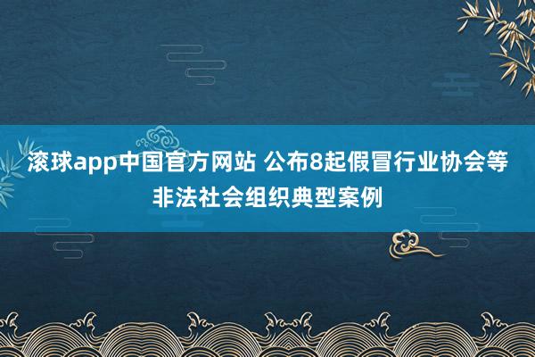 滚球app中国官方网站 公布8起假冒行业协会等非法社会组织典型案例