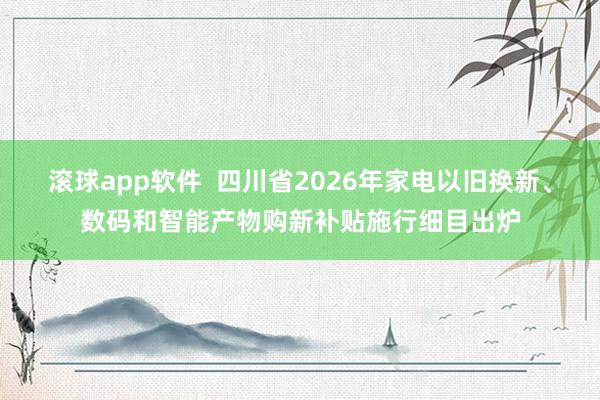 滚球app软件  四川省2026年家电以旧换新、数码和智能产物购新补贴施行细目出炉