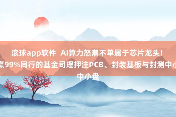 滚球app软件  AI算力怒潮不单属于芯片龙头! 跑赢99%同行的基金司理押注PCB、封装基板与封测中小盘