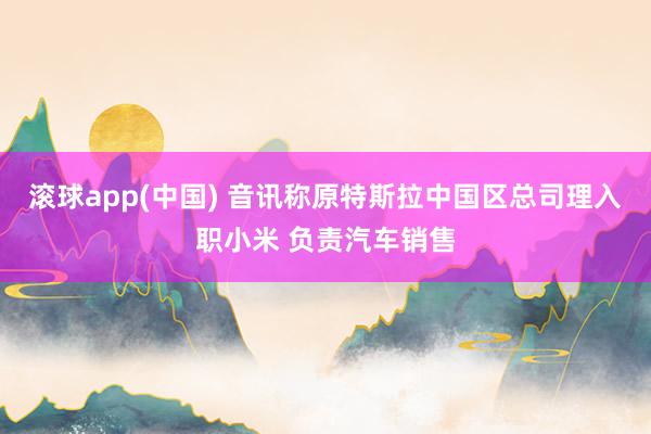 滚球app(中国) 音讯称原特斯拉中国区总司理入职小米 负责汽车销售