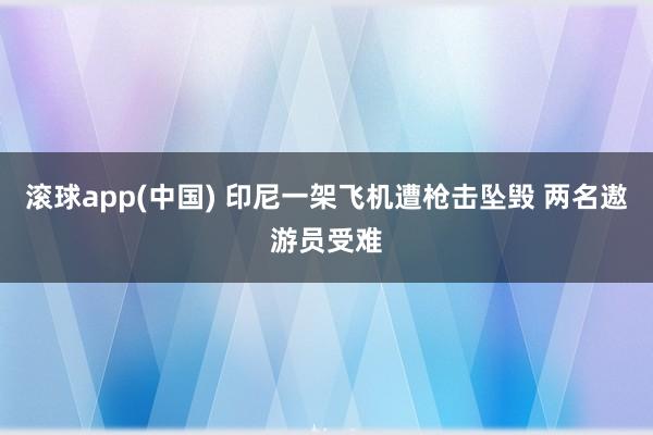 滚球app(中国) 印尼一架飞机遭枪击坠毁 两名遨游员受难