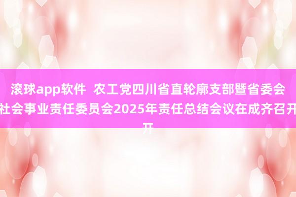 滚球app软件  农工党四川省直轮廓支部暨省委会社会事业责任委员会2025年责任总结会议在成齐召开