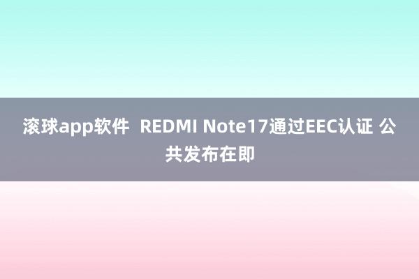滚球app软件  REDMI Note17通过EEC认证 公共发布在即