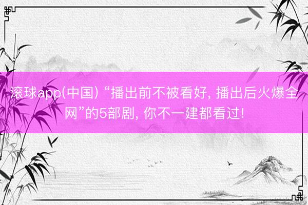 滚球app(中国) “播出前不被看好， 播出后火爆全网”的5部剧， 你不一建都看过!