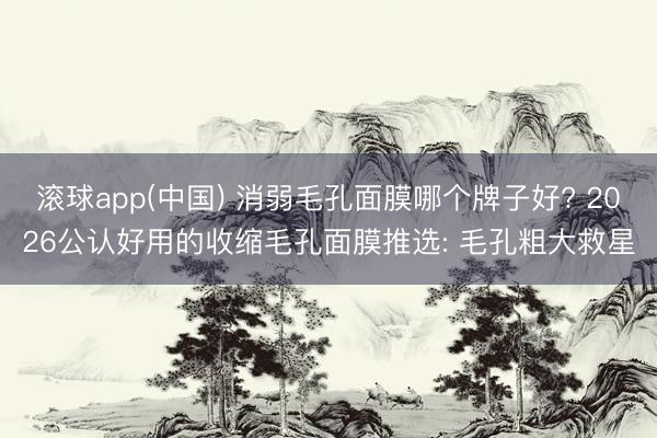 滚球app(中国) 消弱毛孔面膜哪个牌子好? 2026公认好用的收缩毛孔面膜推选: 毛孔粗大救星