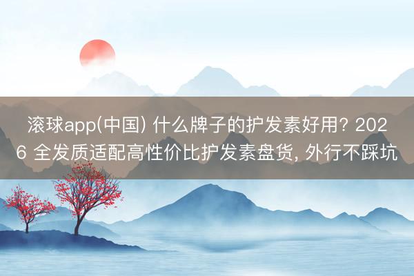 滚球app(中国) 什么牌子的护发素好用? 2026 全发质适配高性价比护发素盘货， 外行不踩坑