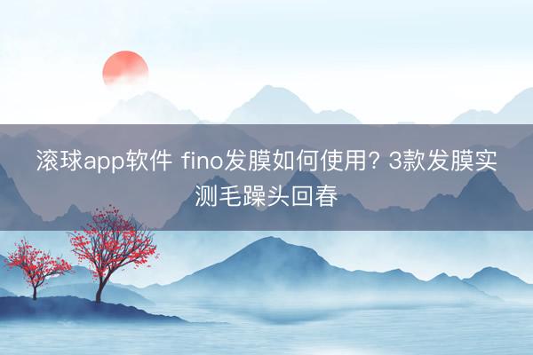 滚球app软件 fino发膜如何使用? 3款发膜实测毛躁头回春