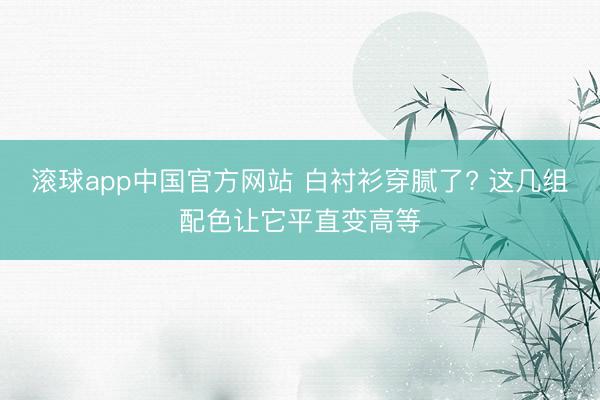 滚球app中国官方网站 白衬衫穿腻了? 这几组配色让它平直变高等