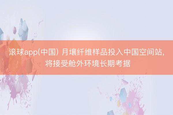 滚球app(中国) 月壤纤维样品投入中国空间站， 将接受舱外环境长期考据