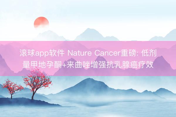 滚球app软件 Nature Cancer重磅: 低剂量甲地孕酮+来曲唑增强抗乳腺癌疗效