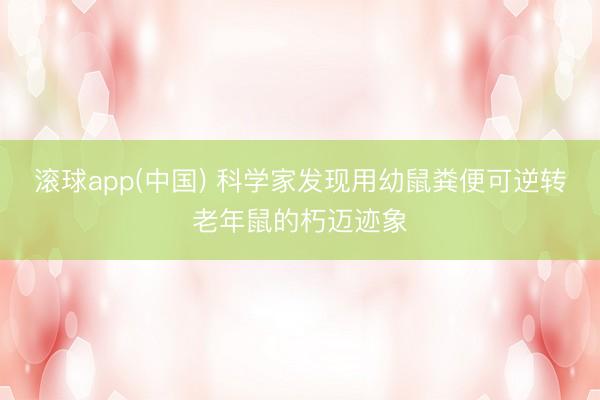 滚球app(中国) 科学家发现用幼鼠粪便可逆转老年鼠的朽迈迹象