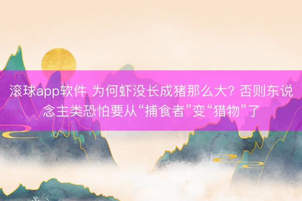 滚球app软件 为何虾没长成猪那么大? 否则东说念主类恐怕要从“捕食者”变“猎物”了