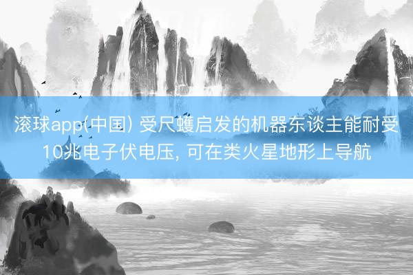 滚球app(中国) 受尺蠖启发的机器东谈主能耐受10兆电子伏电压， 可在类火星地形上导航