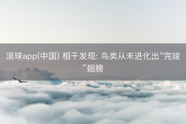 滚球app(中国) 相干发现: 鸟类从未进化出“完竣”翅膀
