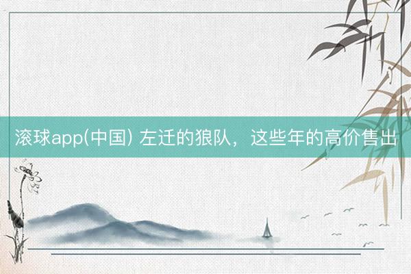 滚球app(中国) 左迁的狼队，这些年的高价售出