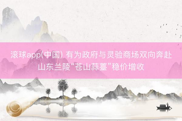 滚球app(中国) 有为政府与灵验商场双向奔赴山东兰陵“苍山蒜薹”稳价增收