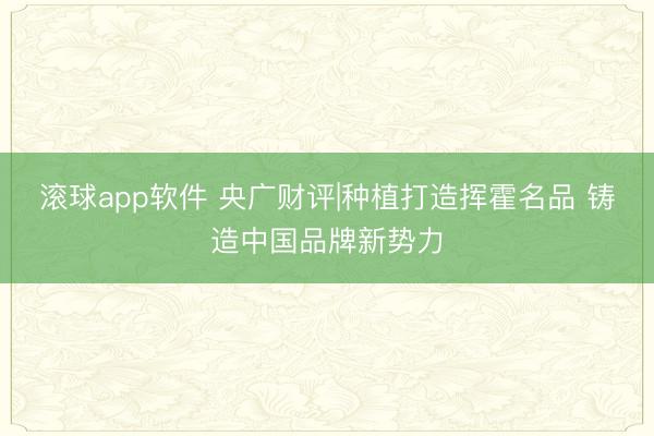 滚球app软件 央广财评|种植打造挥霍名品 铸造中国品牌新势力