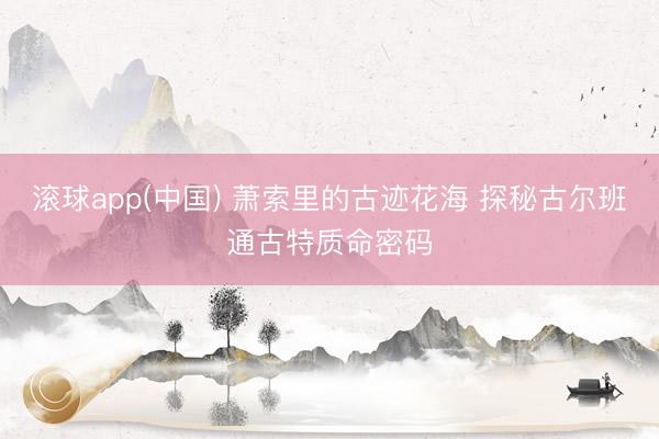 滚球app(中国) 萧索里的古迹花海 探秘古尔班通古特质命密码