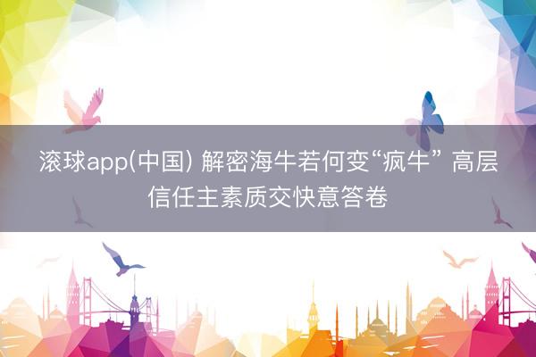 滚球app(中国) 解密海牛若何变“疯牛” 高层信任主素质交快意答卷