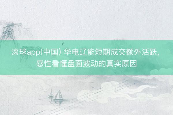 滚球app(中国) 华电辽能短期成交额外活跃， 感性看懂盘面波动的真实原因
