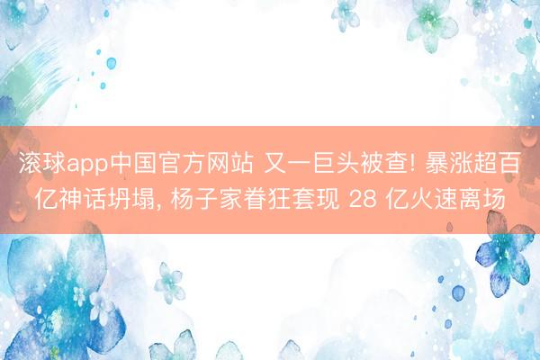 滚球app中国官方网站 又一巨头被查! 暴涨超百亿神话坍塌， 杨子家眷狂套现 28 亿火速离场