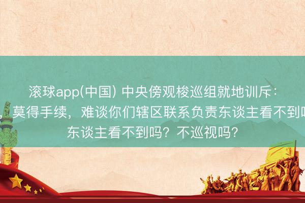 滚球app(中国) 中央傍观梭巡组就地训斥：这样高的塔吊，莫得手续，难谈你们辖区联系负责东谈主看不到吗？不巡视吗？