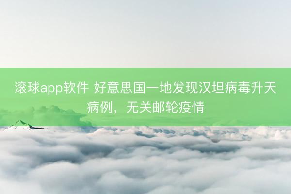 滚球app软件 好意思国一地发现汉坦病毒升天病例，无关邮轮疫情