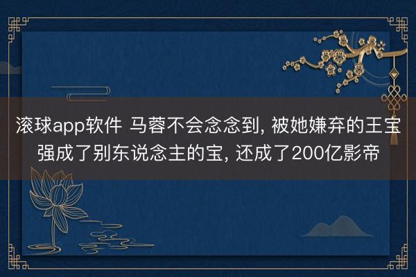 滚球app软件 马蓉不会念念到， 被她嫌弃的王宝强成了别东说念主的宝， 还成了200亿影帝