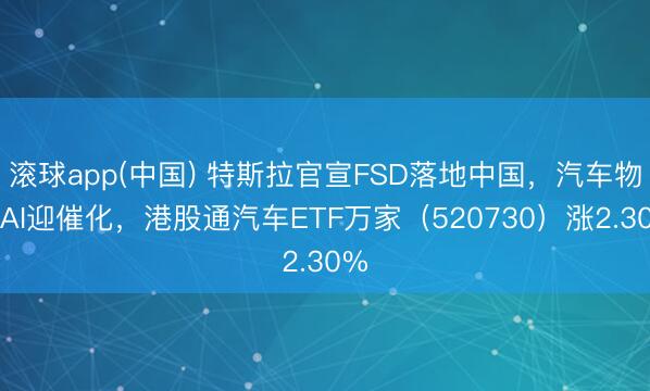 滚球app(中国) 特斯拉官宣FSD落地中国，汽车物理AI迎催化，港股通汽车ETF万家（520730）涨2.30%