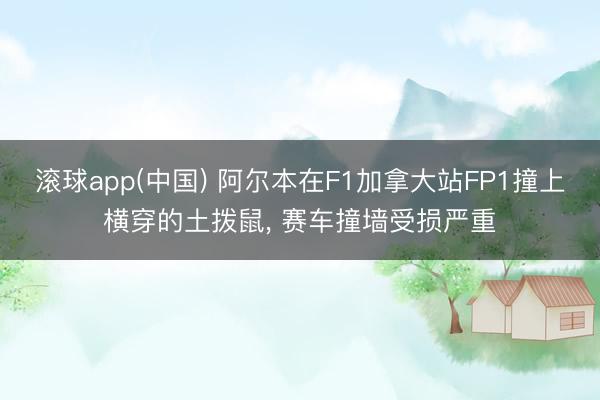 滚球app(中国) 阿尔本在F1加拿大站FP1撞上横穿的土拨鼠， 赛车撞墙受损严重