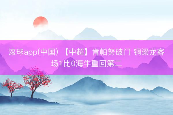 滚球app(中国) 【中超】肯帕努破门 铜梁龙客场1比0海牛重回第二