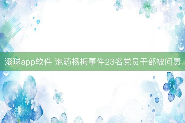 滚球app软件 泡药杨梅事件23名党员干部被问责