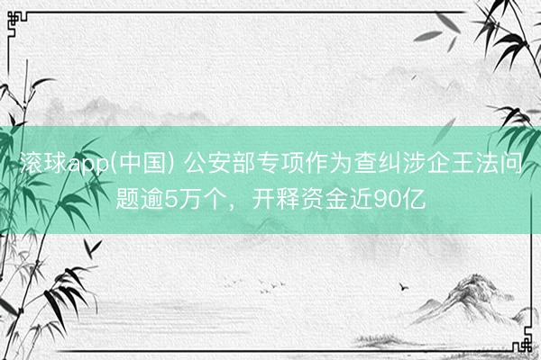 滚球app(中国) 公安部专项作为查纠涉企王法问题逾5万个，开释资金近90亿