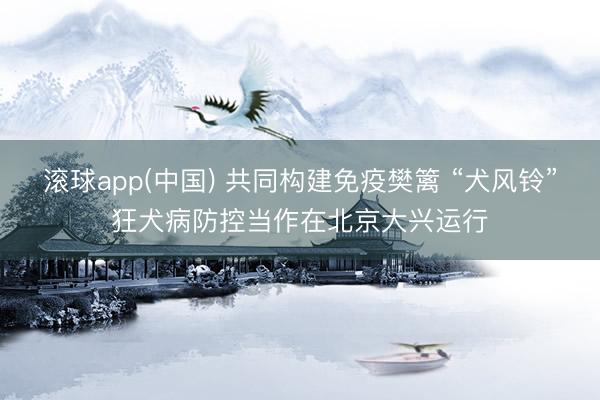 滚球app(中国) 共同构建免疫樊篱 “犬风铃”狂犬病防控当作在北京大兴运行