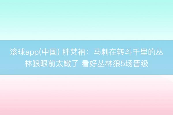 滚球app(中国) 胖梵衲：马刺在转斗千里的丛林狼眼前太嫩了 看好丛林狼5场晋级