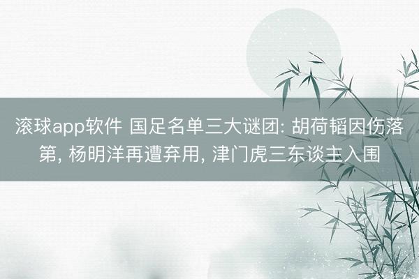 滚球app软件 国足名单三大谜团: 胡荷韬因伤落第， 杨明洋再遭弃用， 津门虎三东谈主入围