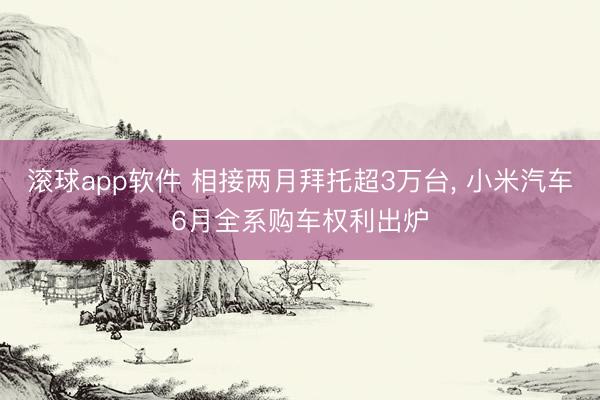 滚球app软件 相接两月拜托超3万台， 小米汽车6月全系购车权利出炉