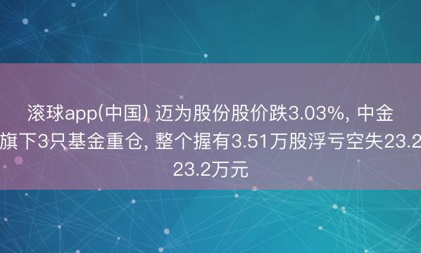 滚球app(中国) 迈为股份股价跌3.03%， 中金基金旗下3只基金重仓， 整个握有3.51万股浮亏空失23.2万元