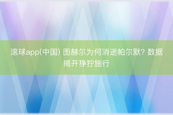 滚球app(中国) 图赫尔为何消逝帕尔默? 数据揭开狰狞施行