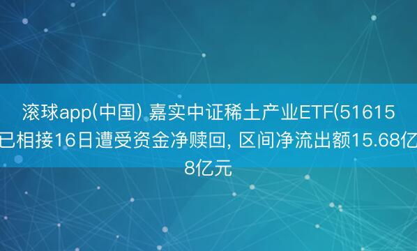 滚球app(中国) 嘉实中证稀土产业ETF(516150)已相接16日遭受资金净赎回， 区间净流出额15.68亿元