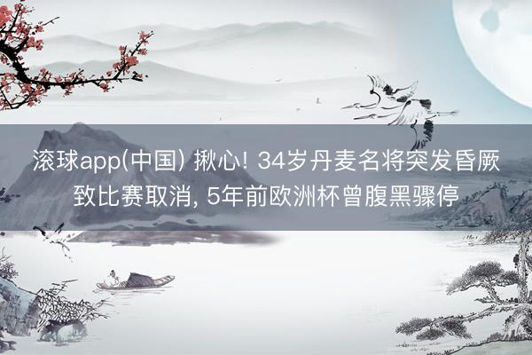 滚球app(中国) 揪心! 34岁丹麦名将突发昏厥致比赛取消， 5年前欧洲杯曾腹黑骤停