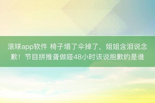 滚球app软件 椅子塌了伞掉了，姐姐含泪说念歉！节目拼推聋做哑48小时该说抱歉的是谁