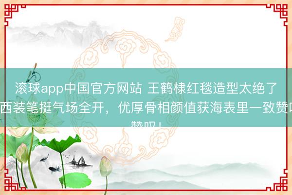 滚球app中国官方网站 王鹤棣红毯造型太绝了！西装笔挺气场全开，优厚骨相颜值获海表里一致赞叹！
