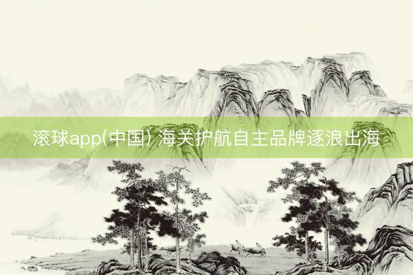 滚球app(中国) 海关护航自主品牌逐浪出海
