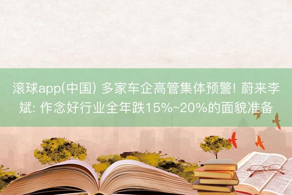 滚球app(中国) 多家车企高管集体预警! 蔚来李斌: 作念好行业全年跌15%~20%的面貌准备