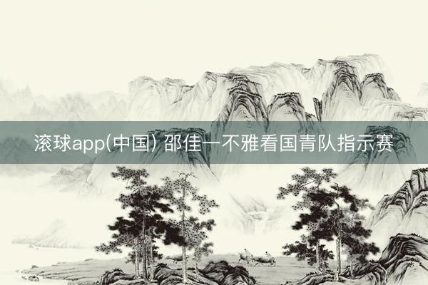 滚球app(中国) 邵佳一不雅看国青队指示赛