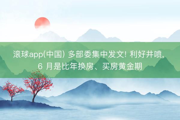 滚球app(中国) 多部委集中发文! 利好井喷, 6 月是比年换房、买房黄金期